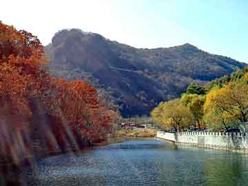 澳门二四六天天彩图库，东阳地板